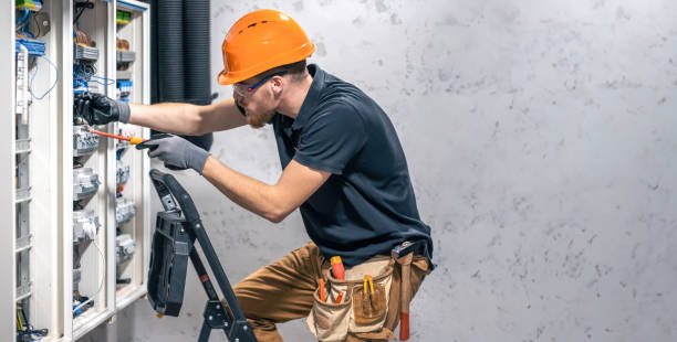 Best Electric Panel Repair  in Stoughton, WI